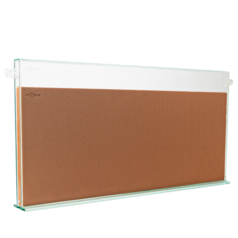 ANTCUBE - Digfix Terra nidum plate 60x30 - L - beige
